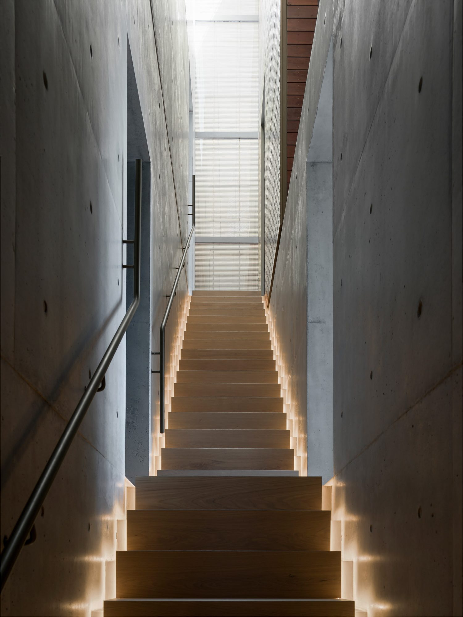 Lurline Bay, sculptural timber and concrete staircase, HP Constructions